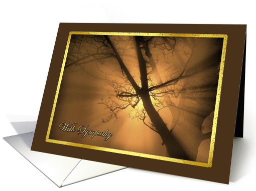 With Sympathy Sun Rays in Misty Forest card (868828)