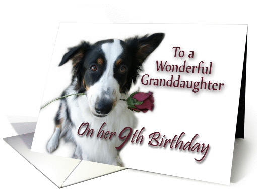Aussie Rose for Granddaughter, 9th Birthday card (1010173)