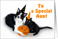Halloween Dog and Cat to Aunt card