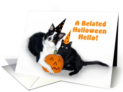 Halloween Dog and Cat Belated card (481100)