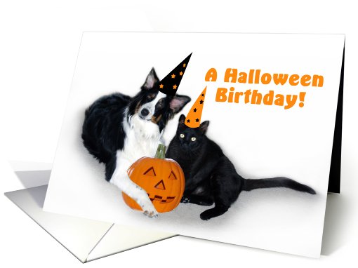 Halloween Dog and Cat Birthday card (481104)