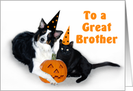 Halloween Dog and Cat Brother card