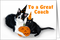 Halloween Dog and Cat, Coach card