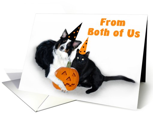 Halloween Dog and Cat, From Both of Us card (481156)