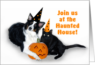 Halloween Dog and Cat, Haunted House card