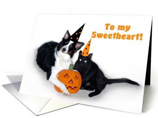 Halloween Dog and Cat, Sweetheart card (481221)