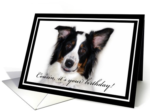 Australian Shepherd Happy Birthday Cousin card (481846)