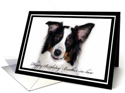 Australian Shepherd Happy Birthday Brother-in-law card (481856)