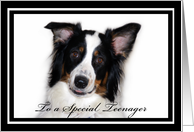 Australian Shepherd Happy Birthday Teenager card