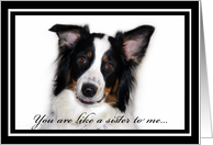 Australian Shepherd Happy Birthday Personal Like a Sister card