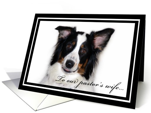 Australian Shepherd Happy Birthday Pastor's Wife card (482252)