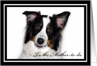 Australian Shepherd Happy Birthday Mother-to-be card