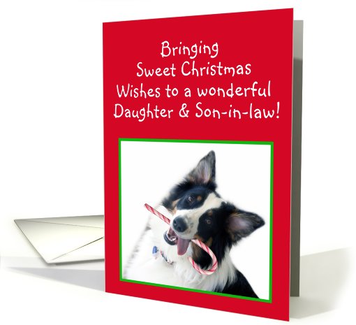 Australian Shepherd Sweet Christmas, Daughter and Son-in-law card