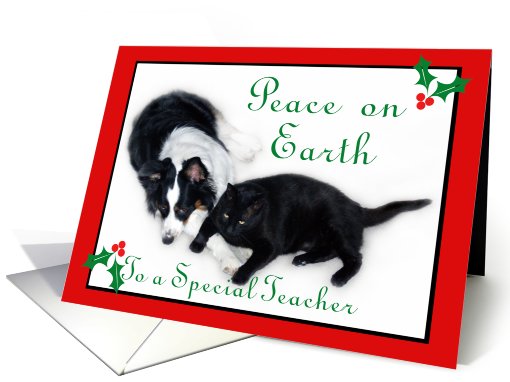 Australian Shepherd and Cat Peace on Earth, Teacher card (483513)