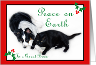 Australian Shepherd and Cat Peace on Earth, Boss card
