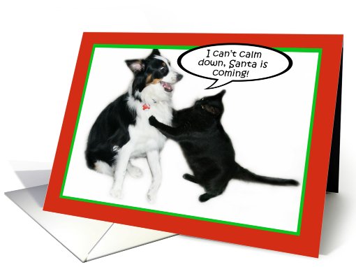 Hey You! Christmas card (489873)