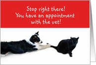 Stop right there! Vet Appointment card