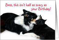 Scary Birthday, Boss card