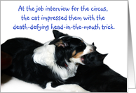 Impress them at the Interview card