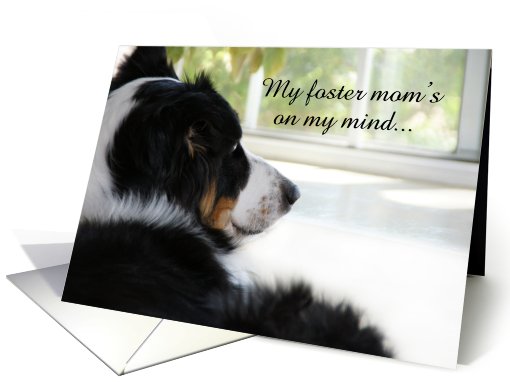 Waiting at the Window, Foster Mom card (506284)