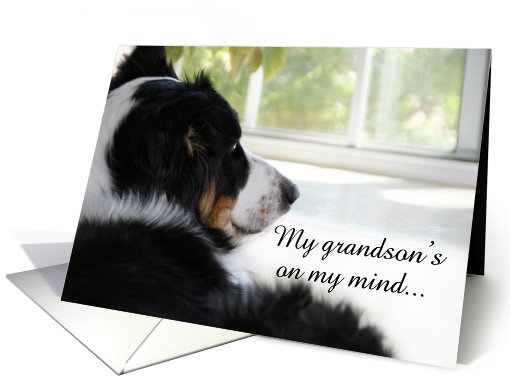 Waiting at the Window, Grandson card (506286)