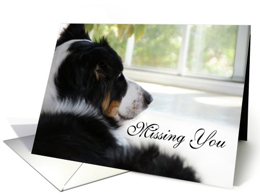 Waiting at the Window, Missing You card (506301)