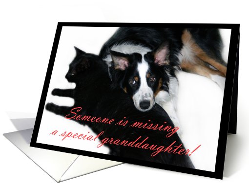 Someone is Missing You, Granddaughter card (506411)