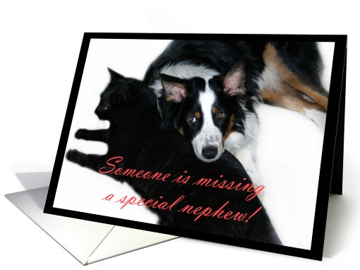 Someone is Missing You, Nephew card (506417)