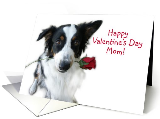 Valentine Rose, Mom card (514334)