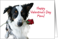 Valentine Rose, Mom card