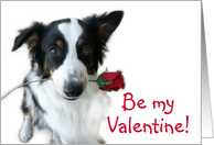Be My Valentine Rose card