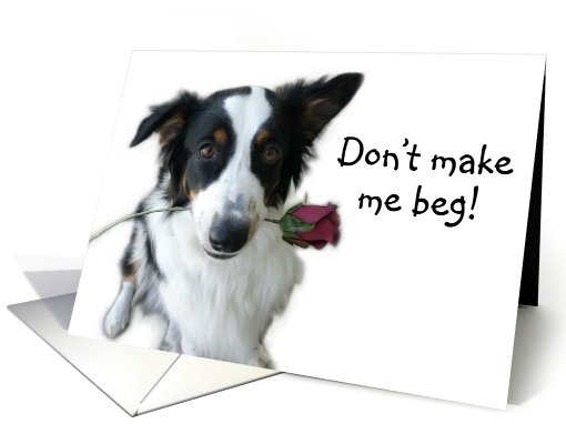 Don't Make me Beg Valentine card (514344)