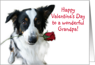 Valentine Rose, Grandpa card
