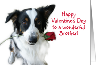 Valentine Rose, Brother card