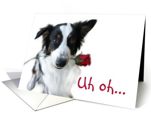 Aussie and Rose, Valentine card (514566)