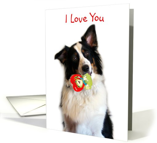 Bringing a Valentine, I love You card (514758)