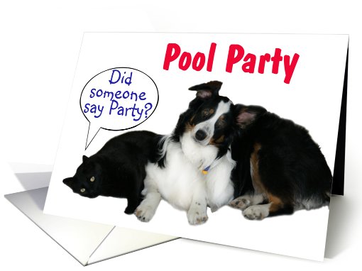It's a Party, Pool Party card (602946)