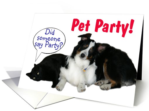 It's a Party, Pet Party card (602953)