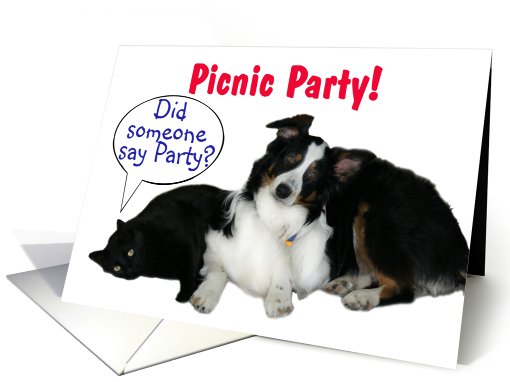 It's a Party, Picnic Party card (602973)