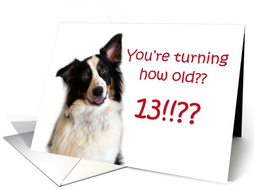 Dog Years, Birthday 13 Years Old card (605261)