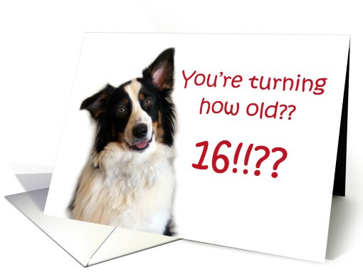 Dog Years, Birthday 16 Years Old card (605268)
