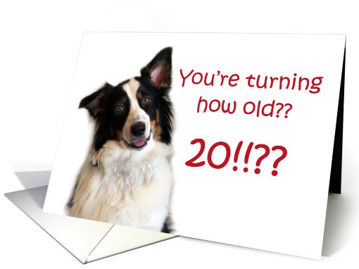 Dog Years, Birthday 20 Years Old card (605273)