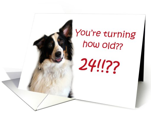 Dog Years, Birthday 24 Years Old card (605280)