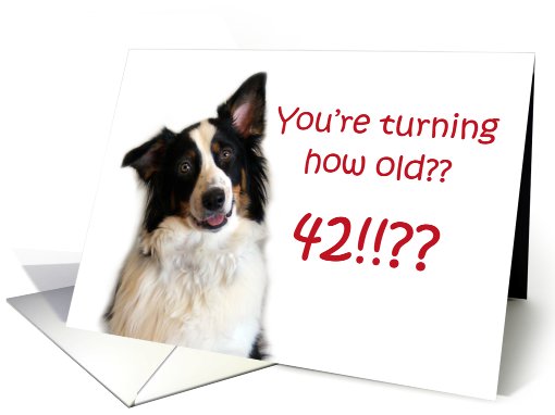 Dog Years, Birthday 42 Years Old card (605308)