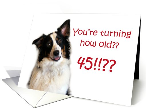 Dog Years, Birthday 45 Years Old card (605314)