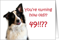 Dog Years, Birthday 49 Years Old card