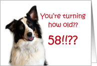 Dog Years, Birthday 58 Years Old card