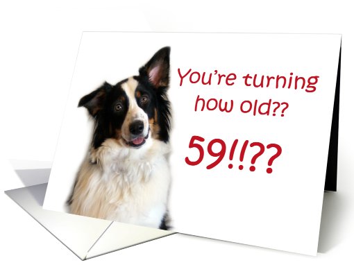 Dog Years, Birthday 59 Years Old card (605329)