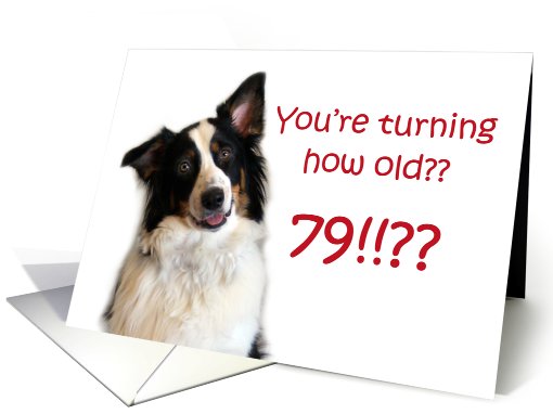 Dog Years, Birthday 79 Years Old card (605401)