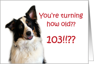 Dog Years, Birthday 103 Years Old card